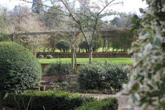 View across the garden from the kitchen window
